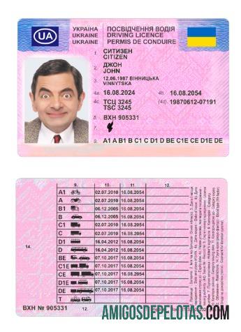 Carta de condução da Ucrânia 2024 presente exemplo